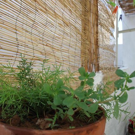 Mantra1 Villa Sozopoli Dış mekan fotoğraf