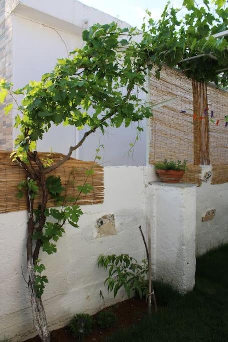 Mantra1 Villa Sozopoli Dış mekan fotoğraf